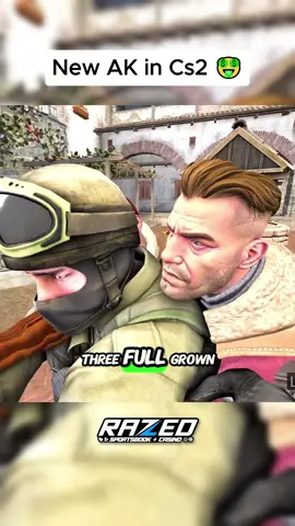 THE BEST AK IN CS2?? 🤓🤓 #csgo #csgofunnymoments #csgomemes #csgofunny #lichtenstein