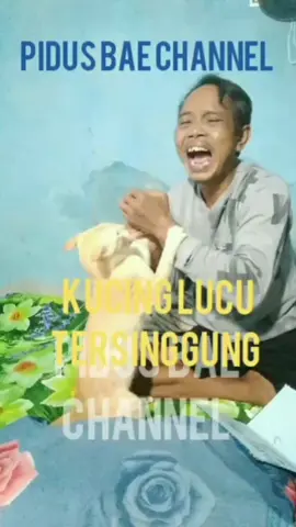 #fyppp  #kucing_lucu  #natural_vidios  #seni &hiburan