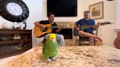 Simple Kind Of Bird (feat. Rob Robinson) #03