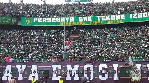 #bonekmania #greenforce #persebaya #football #fyp 