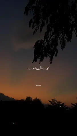Tere Nal Pyar Ve 👀🔥 #sheerdramaost #like #trandingsong #lyricssong #lyricloom 