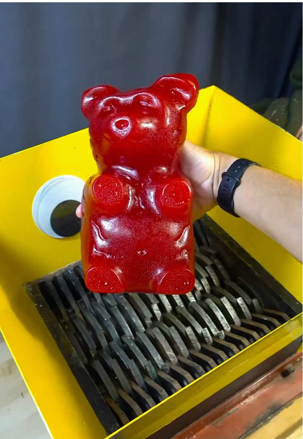 Some of the best shreds! #shredder #shreddermachine #shreddervs #oddlysatisfying #bubblewrap 