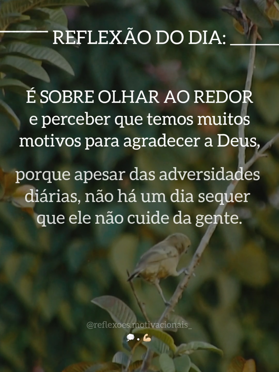 REFLEXÃO DO DIA... 💭 #creatorsearchinsights #reflexaododia #reflexão #motivacao #frasesmotivadoras 