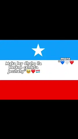 more 🥹❤️❤️🇱🇺#JEERY #jeery #marexanimo🇱🇺❤ #marexanimo🇱🇺❤ #marexaanpower🇱🇺👑 