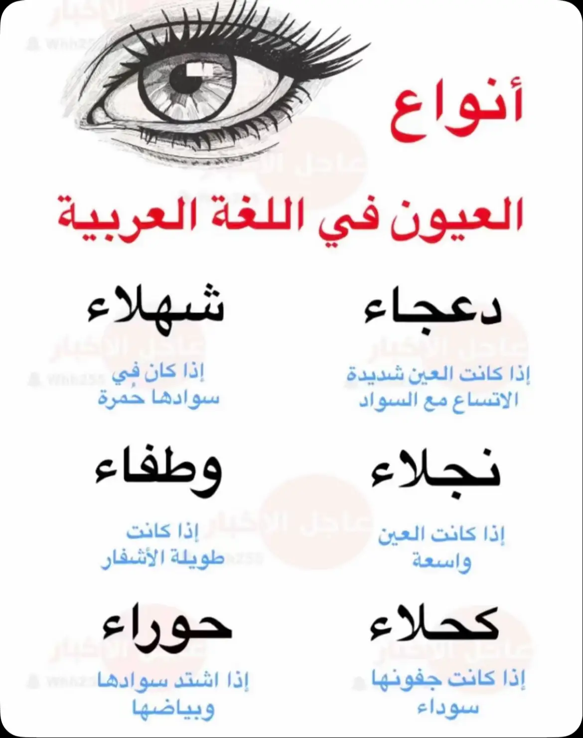 #ااكسبلووورررررررررر 