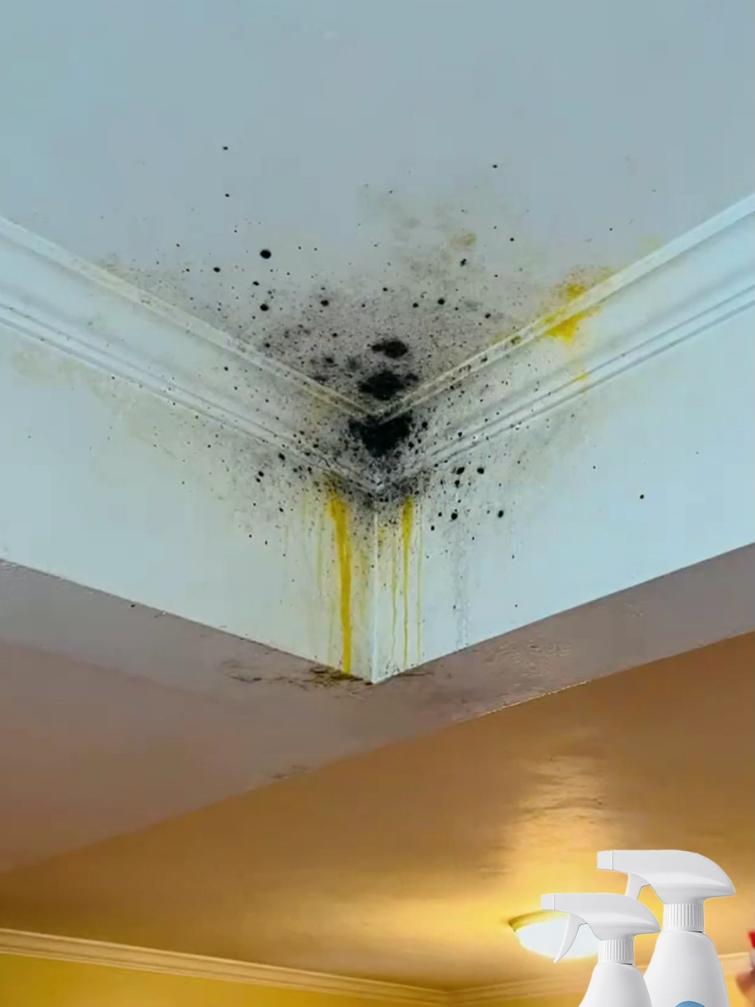 Deep mildew removal, long-term protection #Mould #moldremovingmildewspotmold #wallmoldy #Howtodealwithwallmoldy #wallmoldywallmoldremovalagent #moldremovalagent #moldremovalspray #TikTokShop#fyp