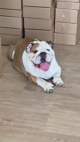 Con trai Đô Đô #nhabedo 