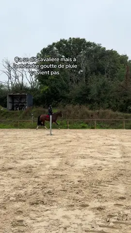 Oups #pourtoii #equitation #cavalier #fyp #horse 