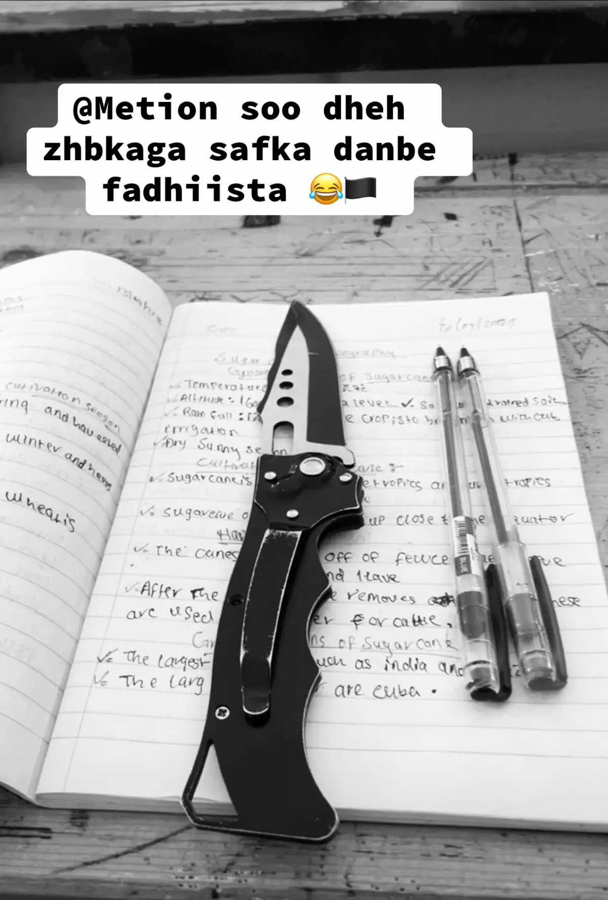 #somalitiktok #fyp #somalilandtiktok💚🤍❤ #school #CapCut #safkadanbe 