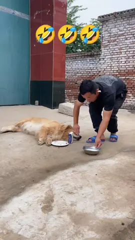 #CapCut#formorfunny #follow #viraltiktok #100k # 