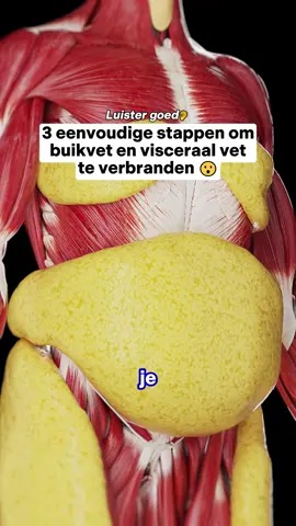 Deze 3 stappen zullen buikvet en visceraal vet verwijderen die je niet kunt negeren! #fyp #gezondheid #voeding