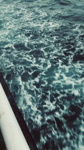 #sea #foryoupage 