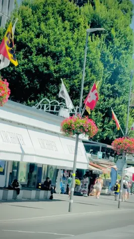 𝐈𝐭𝐚𝐥𝐲 𝐚𝐥𝐞 🇵🇰✈️🇮🇹#enjoylife #viral_video #tarnding #millionauditions2k19🌍 #unfreezemyacount🥺 