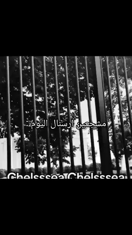انا واحد منهم 😂  #تشيلسي #مالي_خلق_احط_هاشتاقات #fyp 
