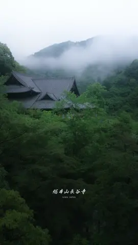 総本山長谷寺 Hidden in the lush mountains of Nara, Hasedera Temple reveals a quiet, timeless beauty on a rainy day. Gentle raindrops fall on moss-covered stone paths, deepening the greens and softening every sound. Wooden corridors wind through the hillside, leading to halls where incense drifts and ancient statues watch over visitors. The rain adds a delicate stillness, inviting you to slow down, breathe deeply, and feel the calm presence of this sacred place — a moment where nature and spirituality quietly embrace.