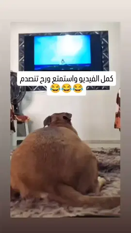 #الضحكة_الاسطورية 😂