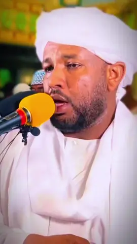 سورة إبراهيم #سورة_ابراهيم #شيخ_الزين #شيخ_الزين_محمد_احمد #الشيخ_الزين_محمد_احمد #قران_كريم 
