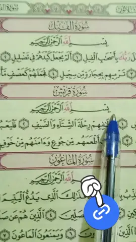 #islamic_video #catsoftikto #viral 