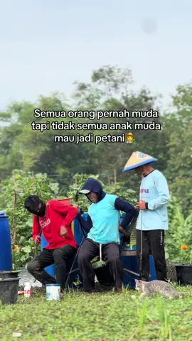 Siap meramaikan dunia pertanian kembali🧑‍🌾🔥#petanimuda #petanimilenial #fyp #petanimelon #petani 