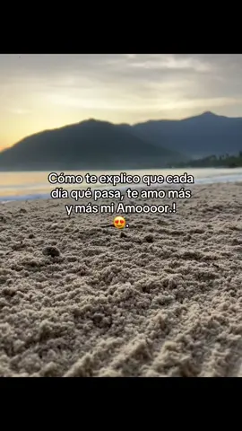 Cómo te explico que cada día qué pasa, te amo más y más mi amor 🤎##teamo##paraminovia##ypfッ##viral##amor