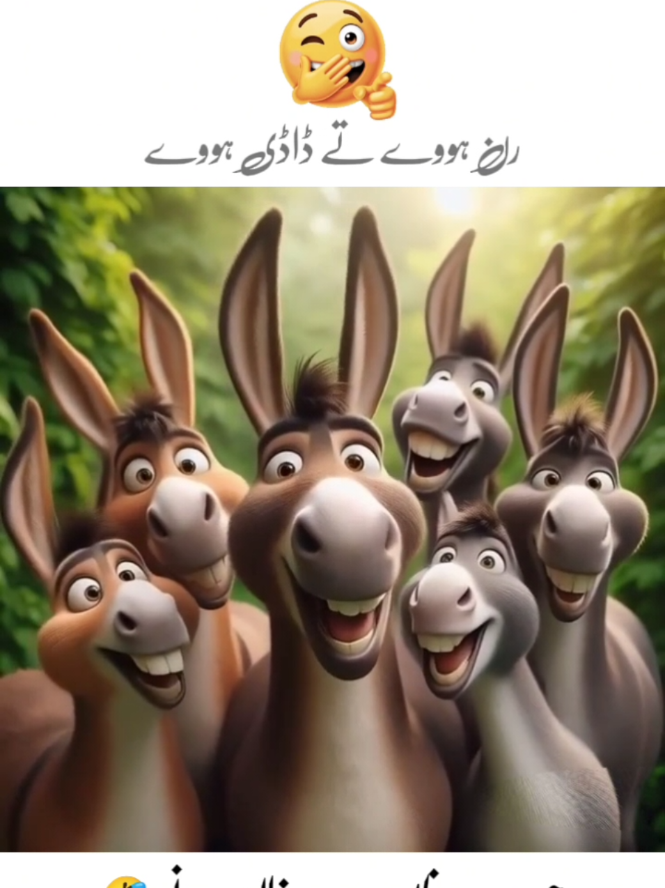 رن ہووے تے ڈاڈی ہووے پاویں سارے جگ دی فسادی ہووے😂@TiktokPakistanOfficial #viral #trend #foryou #🤣🤣🤣 