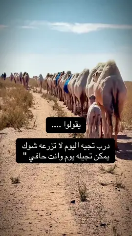 درب تجيه اليوم لاتزرعه شوك