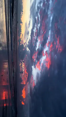 đâu phải cứ cho đi là sẽ được nhận lại