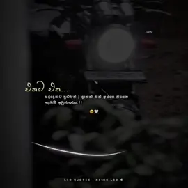 Part 27| True 🥺❤️‍🩹