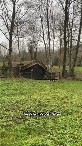 كوخ الأحلام وسط غابة الأردين بلجيكية 🇧🇪 