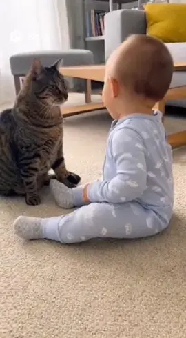 赤ちゃんと猫ちゃんってずっと見てられる🐈 #猫のいる暮らし #赤ちゃん #赤ちゃんかわいい #赤ちゃんのいる暮らし #かわいい 