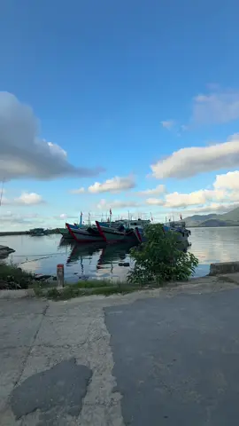 Thi thoảng về quê đi dạo dạo gặp cái cảnh chill chill bình yên đến lạ 🤭 #cauhai #phuloc 