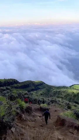 Jalan naik memang melelahkan tapi ada jutaan perasaan yang kita bawa  #gunungsumbing3371mdpl  #quotesfiersabesari  #pendakiindonesia 