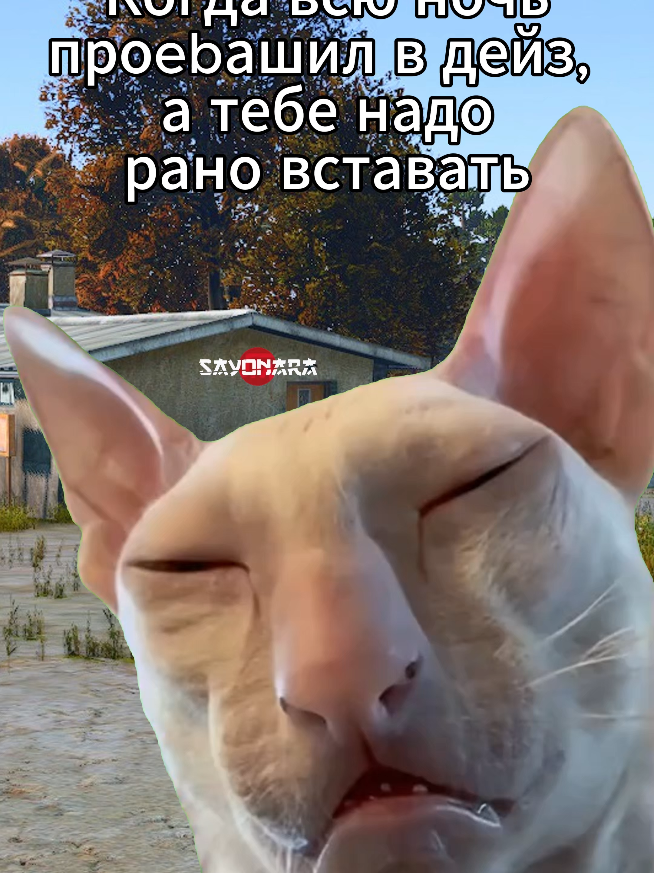 Дейзер не знает сна #dayz #dayzclips #dayzmoments #дейзи #dayzgameplay #dayzfunnymoments #дейз #прикол #ржака #pvp #gaming #clan #shorts