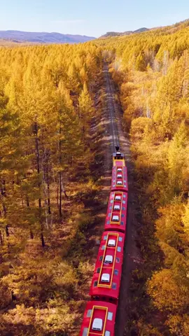 🚂🍂 Chuyến tàu nhỏ chở đầy sắc thu như bước vào một câu chuyện cổ tích Đi qua Mạc Nhĩ Đạo Ga và vùng Đại Hưng An Lĩnh, nơi rừng phong vàng rực, lá bạch dương reo trong gió… Tựa như cả mùa thu Đông Bắc gom lại trên từng cung đường ray. ✨🌲 #MoErDaoGa #DaiHungAnLinh #ThuĐẹpNhấtỞĐôngBắc 🕊️🍁