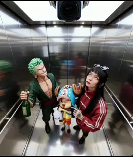 Are we going to a party? 🎉 #OnePiece #Zoro #Chopper  #Katakuri 