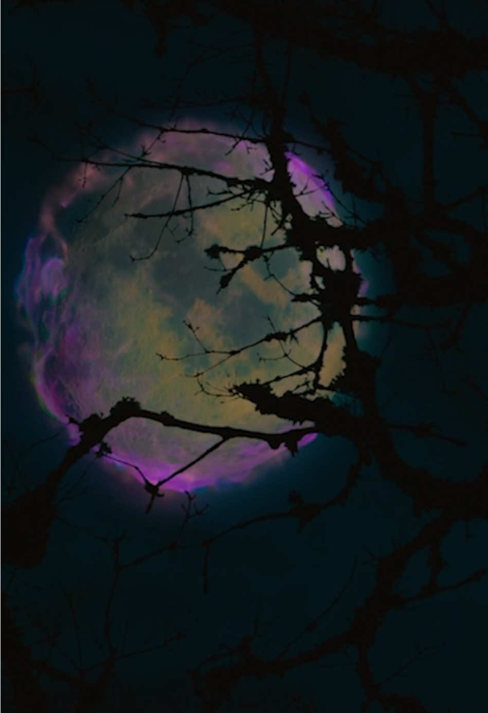 #Fyp #movie #film #Filmerklärung