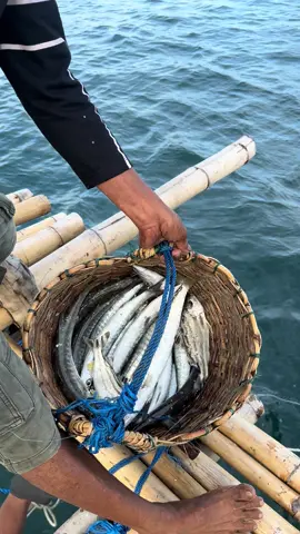 #fishing #spot #bagan #balikpapan #sinn577fishingspot 