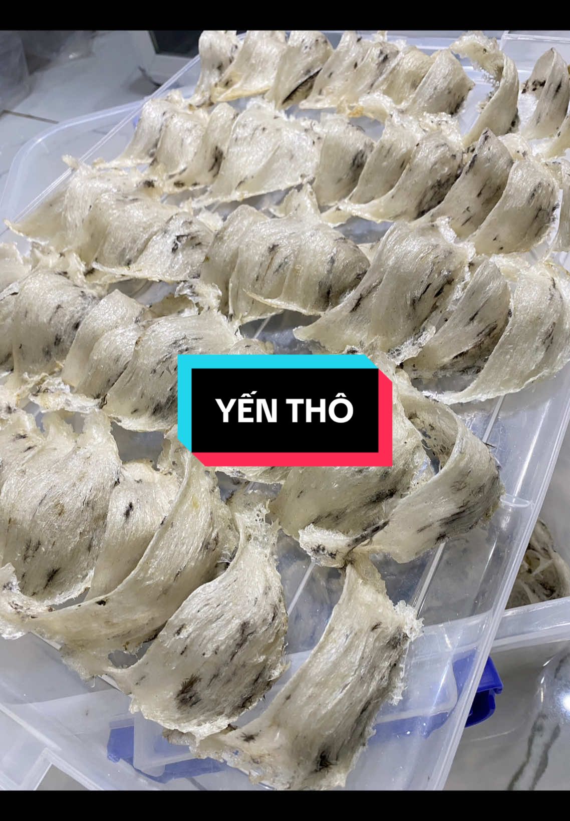 Trắng trắng xinh xịn mời khách quẹo lựa ạ! #yensaocongthanh #sitoyen #yennha #yenhuchungsan #yentho #toyen 