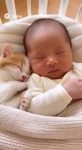 赤ちゃんと子猫の癒し☺️ #sora2 