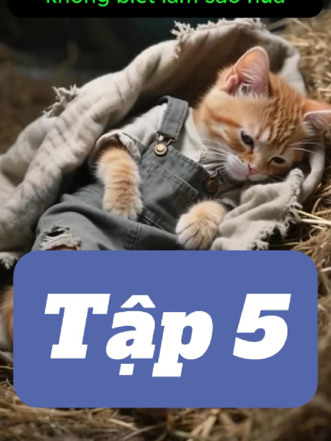 Dì Ghẻ Con Chồng Tập 5#xuhuong #meo #viral #meoai #cat