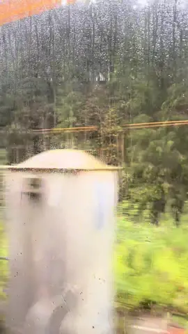 من جمال المناظر ماودك القطار يوقف 🥲💔 من سالزبورغ الى فيينا الحب 