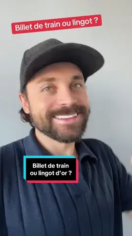 Un génie apparaît devant toi et te fait une proposition soit un billet aller-retour pour rentrer chez toi à Noël ou soit un lingot d’or. Réfléchis bien ! ##sncf##train##merci##pigeon