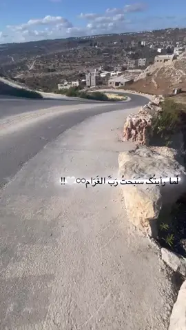 #يعبد_الصمود🖤 #يعبد_جنين_نابلس_طولكرم_رام_الله_فلسطين  #ابوشملة 🖤🦅