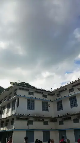 সিলেট শাহজালাল মাজার?