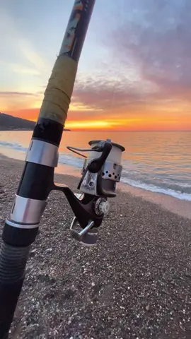 #algeria #sunset #dz #fyp #fishing 