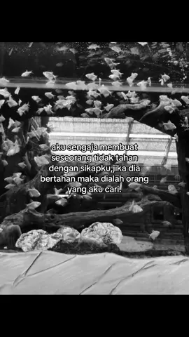 #masukberandamu #moots? 