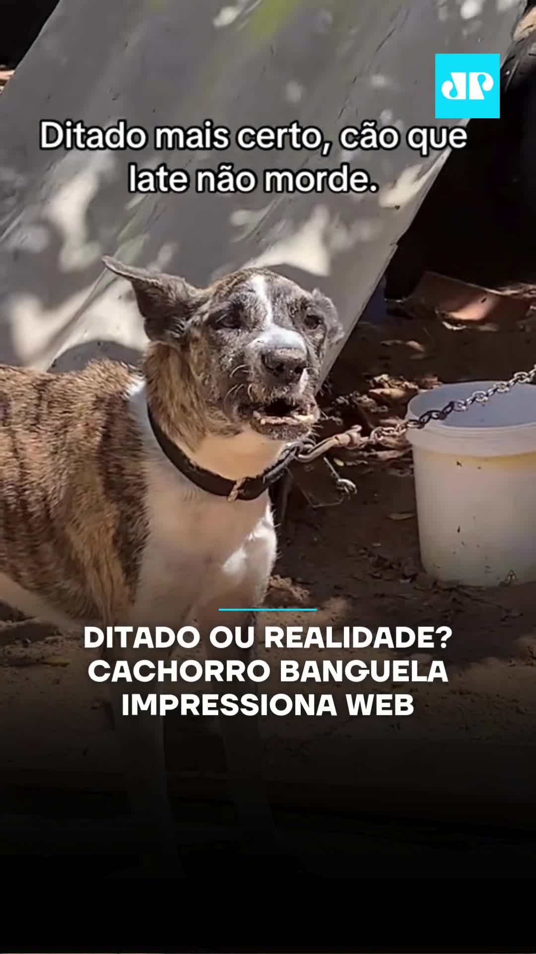 Um vídeo publicado por Allan está fazendo sucesso nas redes sociais ao mostrar um cachorro latindo com energia, mas sem um detalhe essencial: os dentes. A cena inusitada reforçou o ditado popular “cachorro que late não morde” e arrancou risadas do público. Nos comentários, internautas reagiram com humor e carinho ao pet: “Gente, fiquei com dó, tadinho” e “Meu avô tem essa mesma mania kkkkkkk”, escreveram alguns usuários. 🎥Reprodução: Instagram/ @Allankawaiii | @myhoodbr 📺 Confira na JP News e Panflix #JovemPanEntretenimento #Cachorro #Ditado