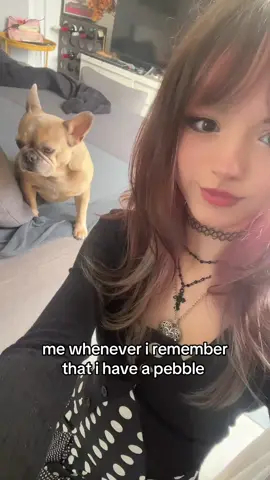 I LOVE U COCONUT #09 #alt #pibble #fyp 