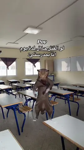 ##حادي_عشر_ادبي #المديرة_الفرفوشة_رزق😂 #المدرسة #😂😂 ##الشعب_الصيني_ماله_حل😂😂 