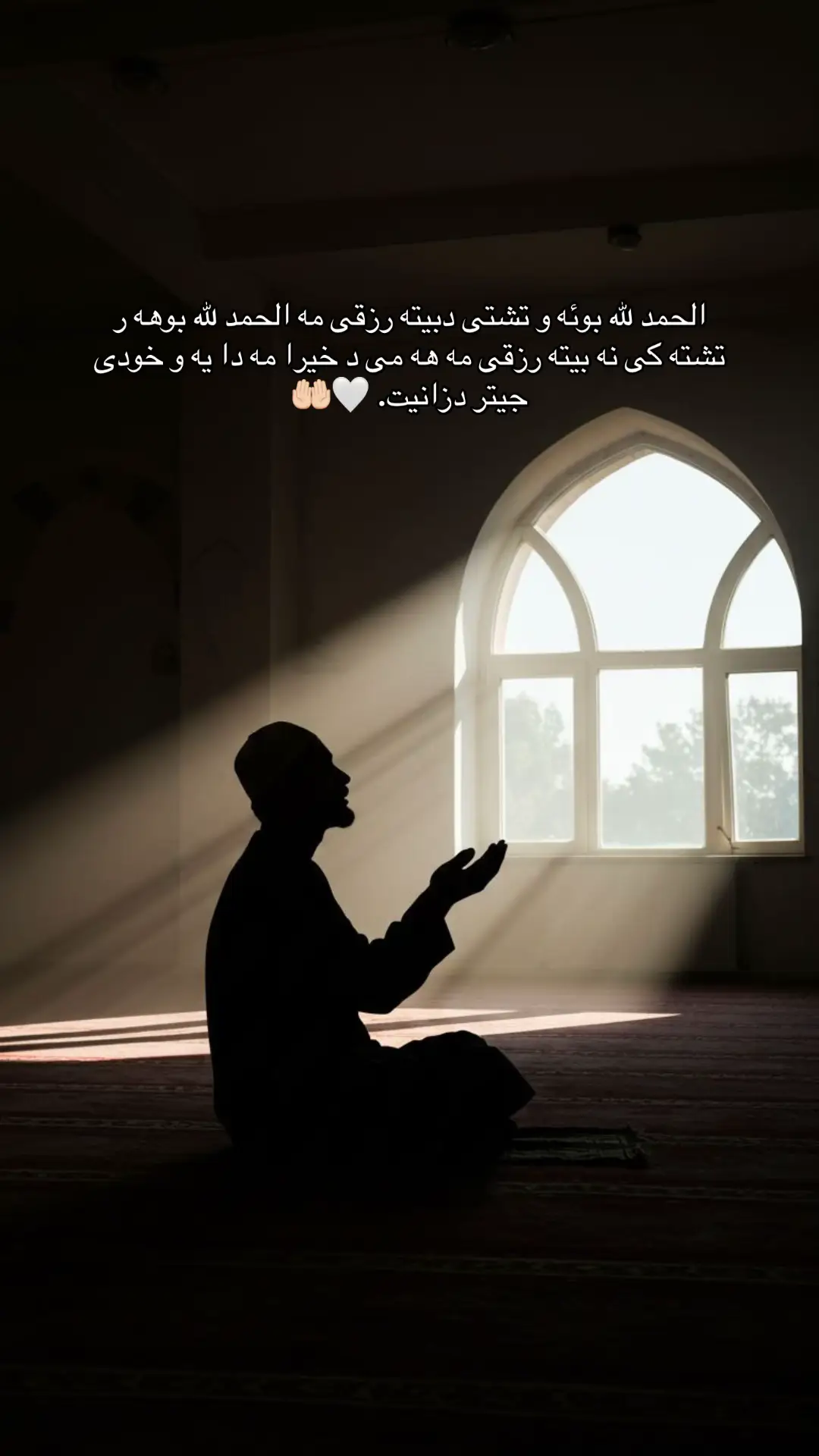 #الحمدالله_علی_کل_حال❤ #اكسبلورexplore #foryoupage #duhok #foryou 